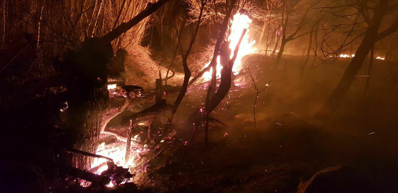 آتش سوزی، ۲۵ هکتار از مراتع فاروج را تخریب کرد 