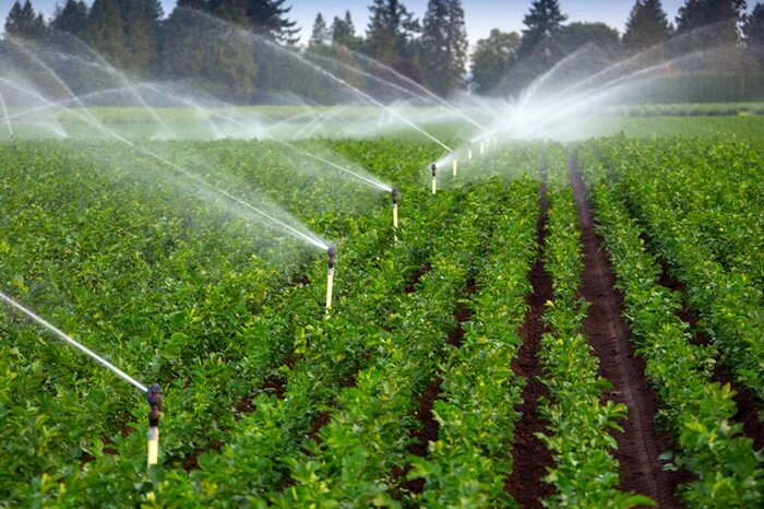 سیستم آبیاری نوین در سه هزار هکتار زمین کشاورزی اجرایی می شود