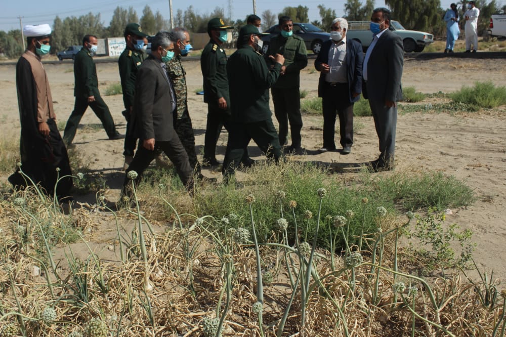تشکیل قرارگاه کمک به کشاورزان در جنوب کرمان 