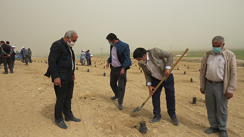 دو ماه آینده، باغ انگور ۱۰ هکتاری در موقوفه روستای سیاهدشت به ثمر می‌نشیند