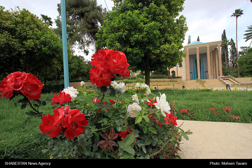 مردی از قرن هفتم، مهمان دل‌های قرن بیست‌ویکم