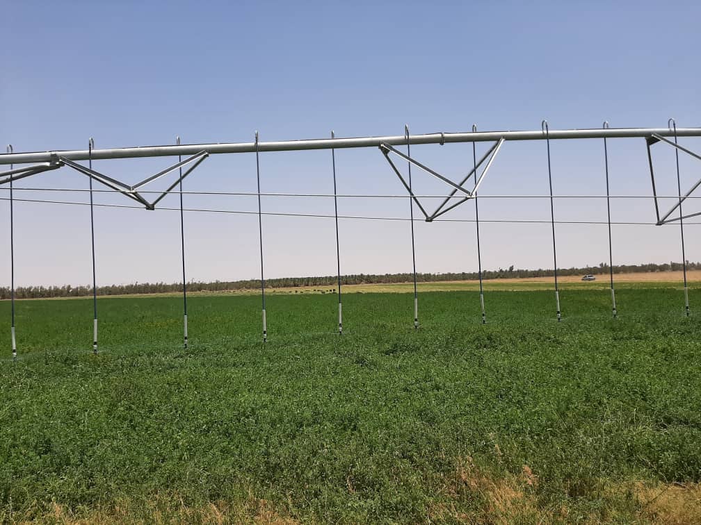 ۳۱ هزار هکتار از اراضی کشاورزی خراسان جنوبی مجهز به سیستم آبیاری نوین است