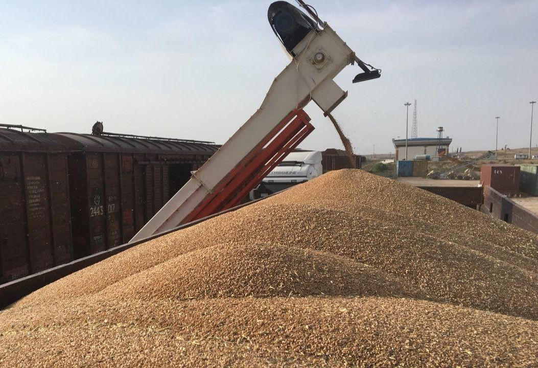 خرید تضمینی گندم در خراسان جنوبی ۲۲ درصد کاهش یافت