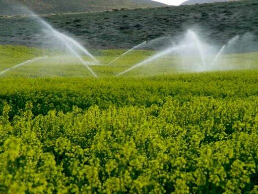۸۰۰ هزار هکتار زمین کشاورزی در لرستان وجود دارد