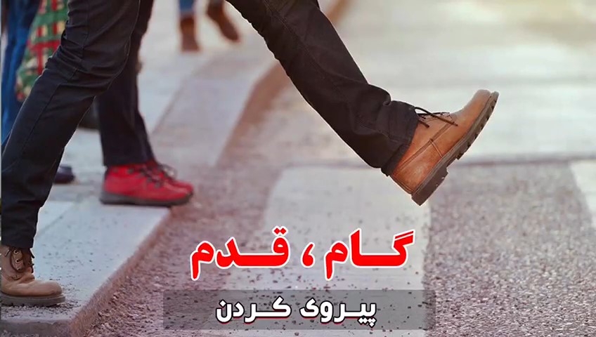 گام، قدم (پیروی کردن)- دکتر جواد فروغی