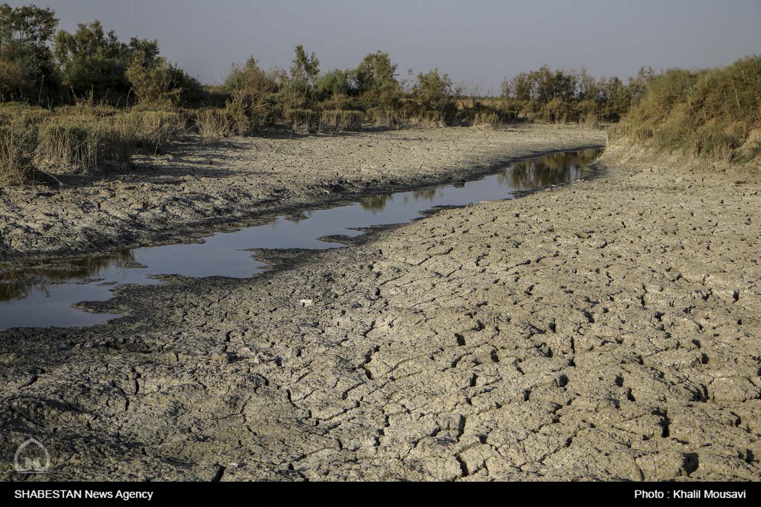 بیش از ۷۳ درصد پهنه خراسان شمالی درگیر خشکسالی است