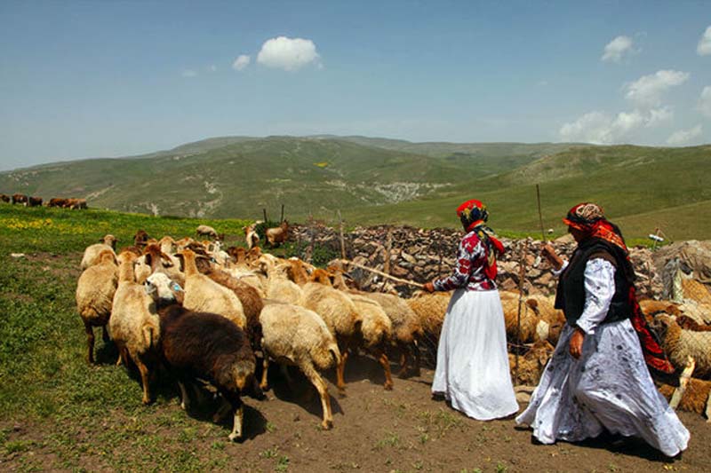 لزوم صدور کارت شناسایی عشایری برای عشایر فارس