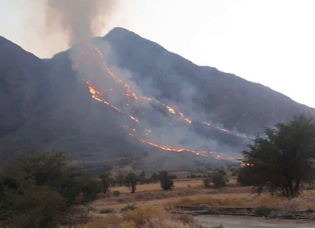 آتش سوزی اراضی زراعی روستای زوارم مهار شد