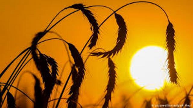 گرمای بی سابقه هوا در استان لرستان