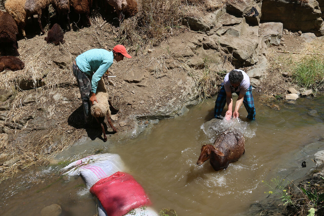 شهروندان از شستن فرش و پشم در رودخانه اجتناب کنند