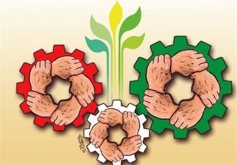 ۵۰ درصد تعاونی‌های استان یزد فعال هستند  