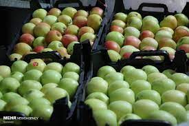 ۳۵ مرکز خرید سیب صنعتی درسطح شهرستان ارومیه مجوز فعالیت دارند 