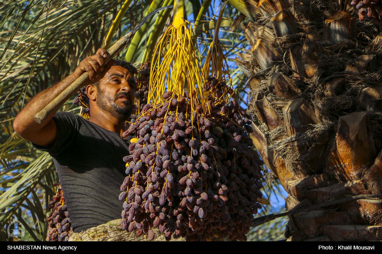 بخش خصوصی با تمام مشکلات اقتصادی با غیرت و انگیزه به تلاش خود ادامه می دهد