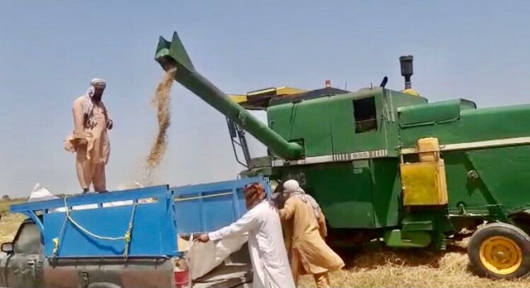 پرداخت ۶۳۰ میلیارد ریال تسهیلات برای خرید انواع ماشین ها وادوات کشاورزی در سیستان و بلوچستان 