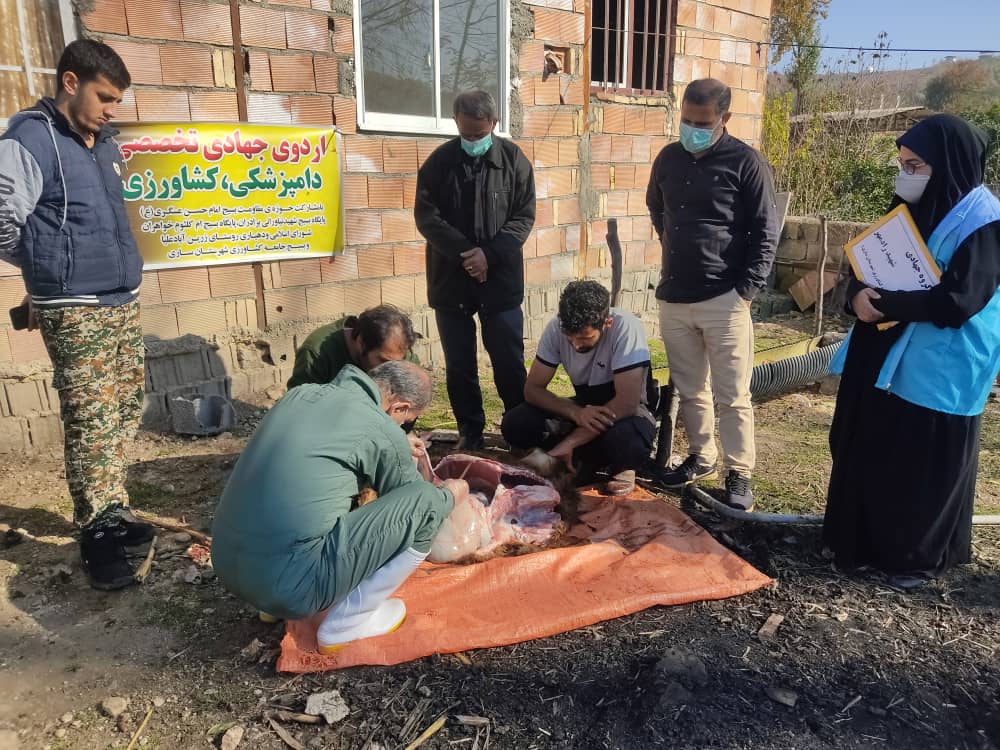 اردوی جهادی دامپزشکی سپاه در مناطق محروم ساری برگزار شد