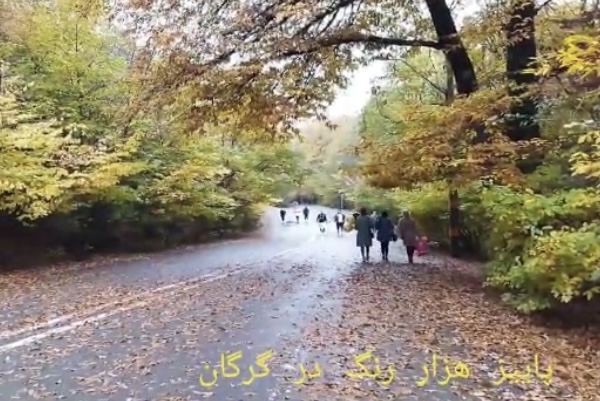کرشمه پاییزی برگ ها در النگدره گرگان