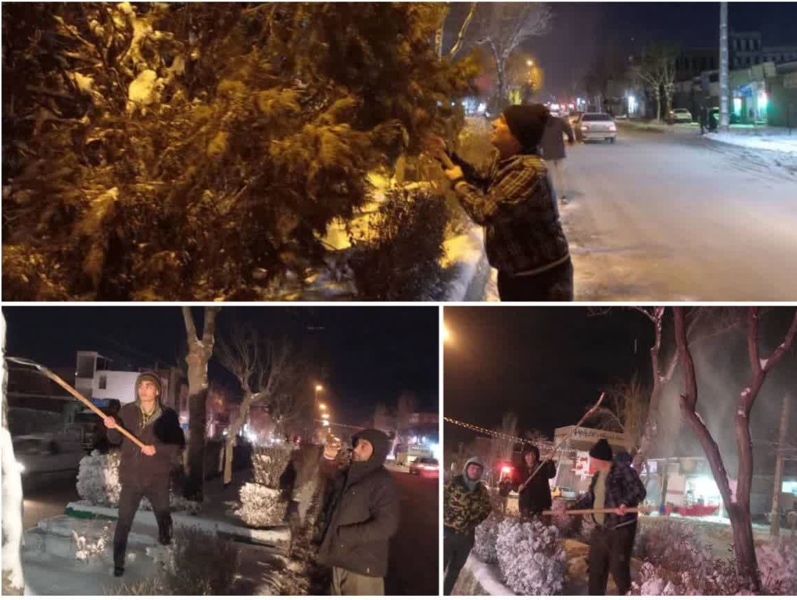 برف روبی درختان توسط فعالان کانون های مساجد صورت گرفت