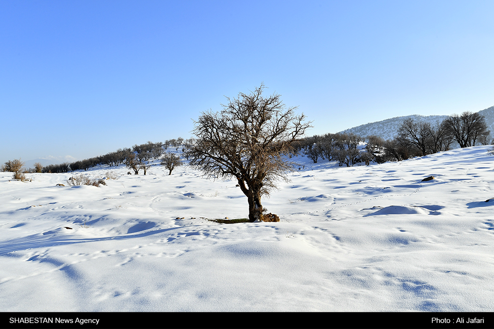 بارش برف و کاهش ۱۸ درجه ای دما در گلستان/ سامانه بارشی یکشنبه استان را ترک می کند