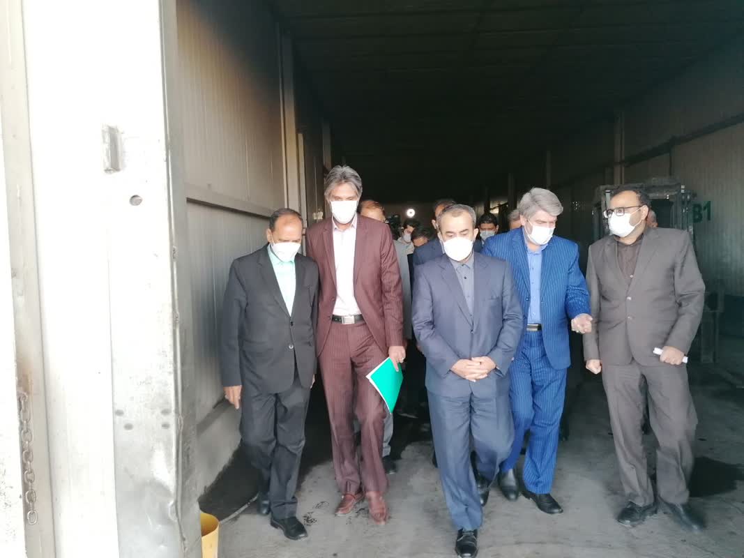 روزانه ۱۸۰ تن مرغ در خراسان جنوبی تولید می‌شود  