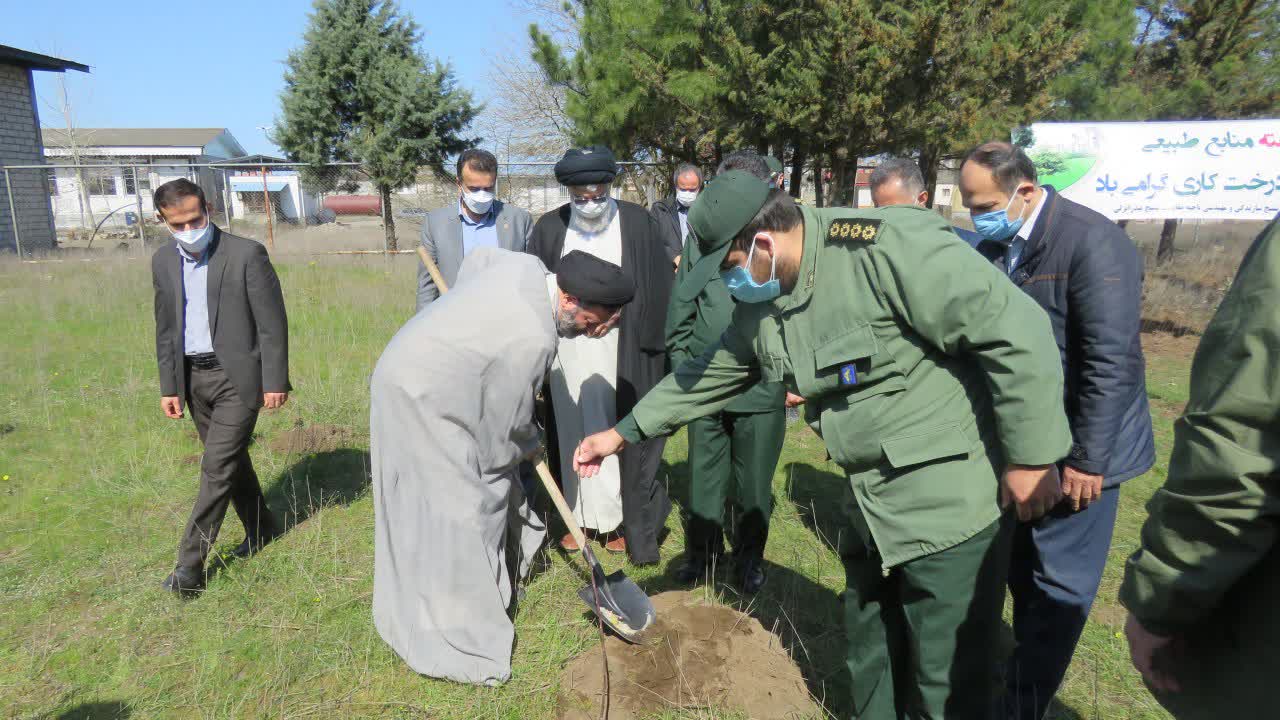 درختکاری و حفظ محیط زیست باید مورد توجه عامه قرار گیرد