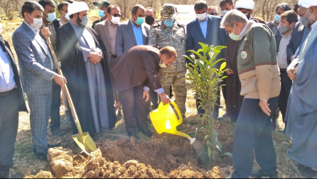 درختان بلوط در معرض آسیب دیدگی و نابودی هستند/  تیپ ۴۸ فتح ۲۵۰۰ نهال غرس کرد + تصاویر  