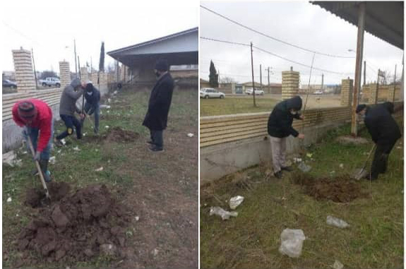 ۸ اصله نهال به نیت ۸ شهید روستای قره قاسملو غرس شد  