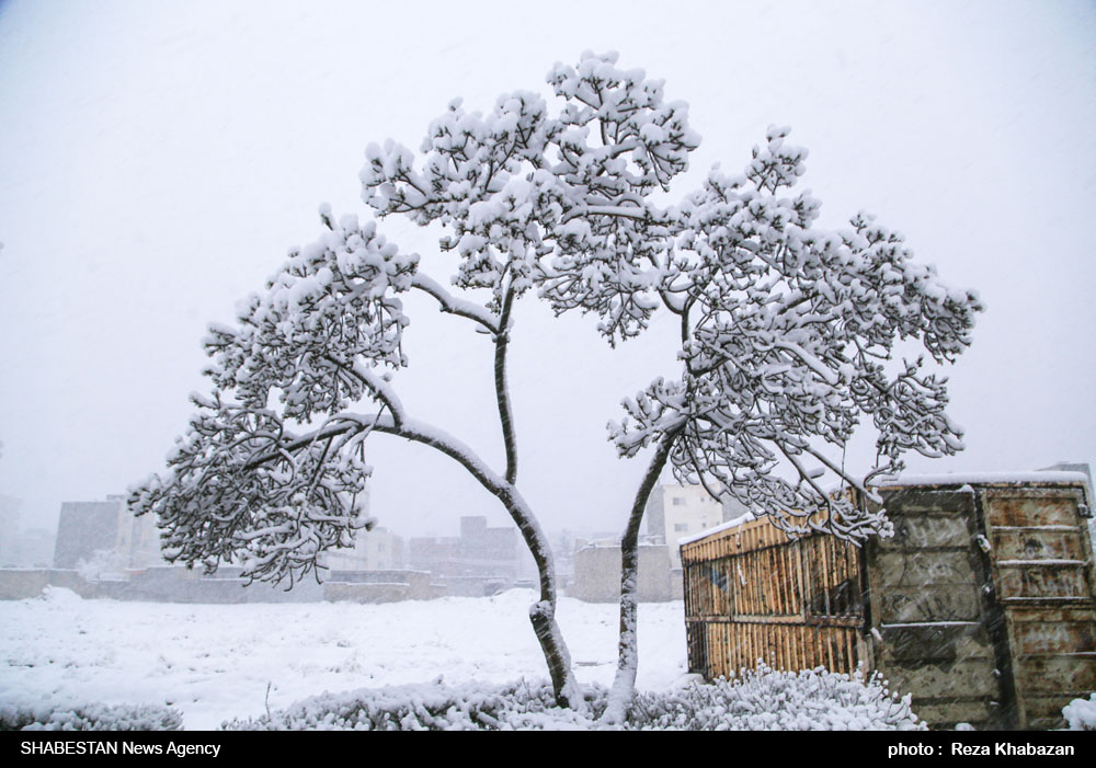 بارش برف کشاورزان خراسان شمالی را خوشحال کرد
