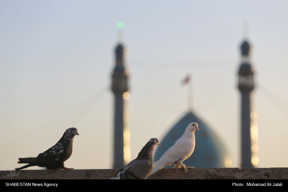 احیا نیمه شعبان در کانون «شهید رحمانیان» جهرم برگزار شد