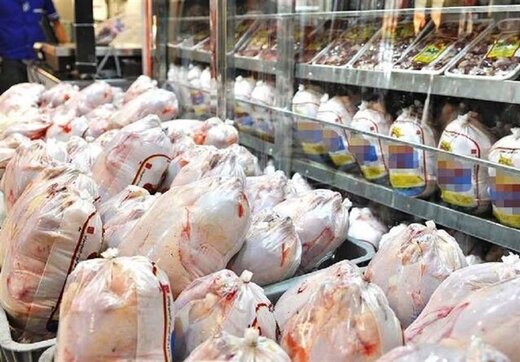 خرید و ذخیره‌سازی ۲۰۰۰ تن مرغ از تولیدکنندگان/ مشکلی در جوجه‌ریزی نداریم