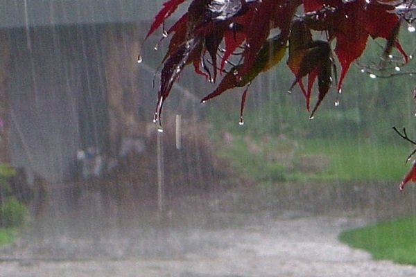 انجیره آبدانان رکورددار بارندگی ۴۸ ساعت گذشته ایلام 