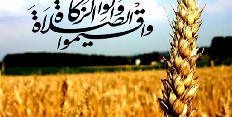 پرداخت زکات، گامی در مسیر تسهیل ازدواج جوانان است