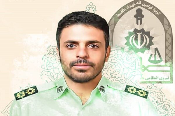 شهادت شهید زارعی به عنوان پرچم پر افتخار در حوزه مبارزه با مواد مخدر است