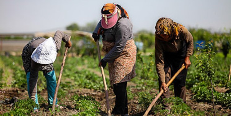 تدوین سند توسعه اقتصادی و اشتغال ۲۴۴ روستای خراسان جنوبی  