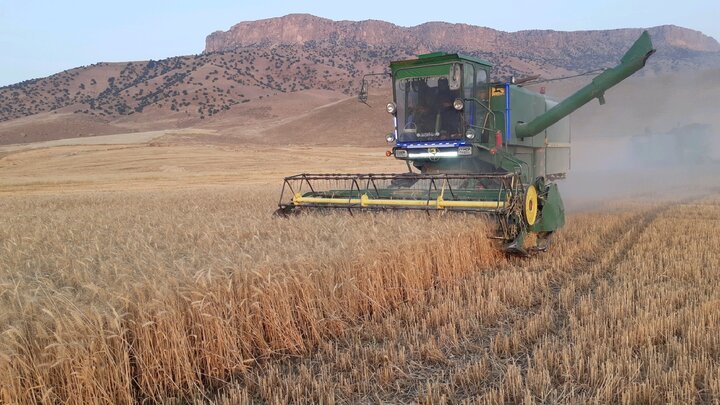 یک سوم کشاورزان گندم تولیدی را تحویل مراکز دولتی ندادند