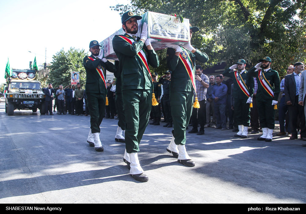 پرستوی مهاجر در جایگاه ابدیش آرام گرفت