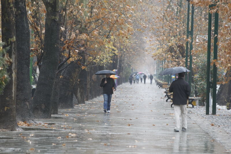 افزایش ۸۱.۵ درصدی بارندگی در شیروان