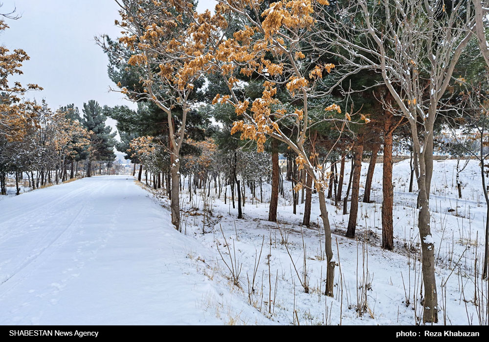 برگزاری جشنواره عکس طبیعت زمستانی لیلاخ در دهگلان