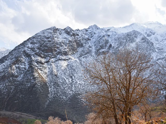 طبیعت بکر و کوهستانی روستای دیوزناو را بهتر بشناسیم + عکس