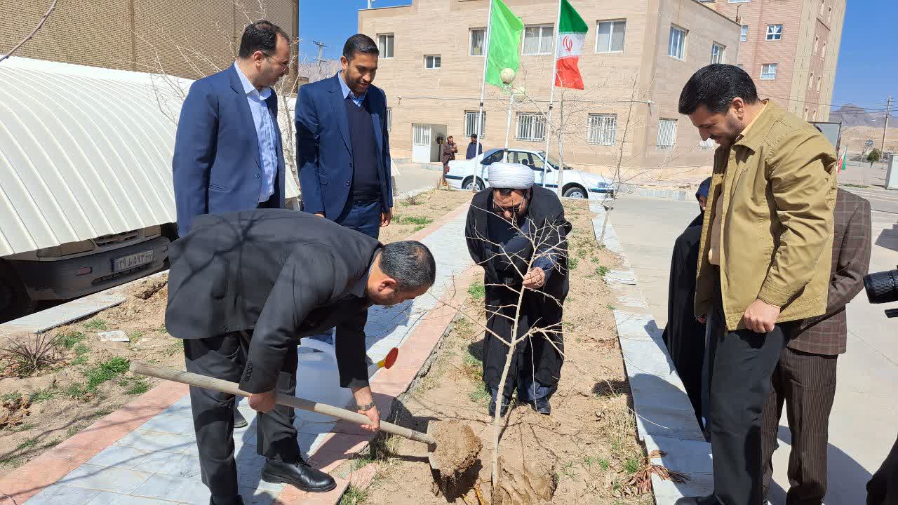 غرس یک اصله نهال توسط استاندار خراسان جنوبی در خبرگزاری شبستان