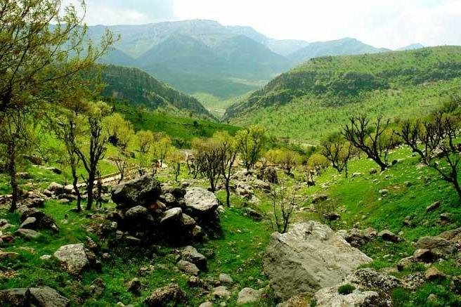 «طبیعت» در کلام اهل بیت(ع)/ از توصیه به بهره مندی از منابع طبیعی تا وعده عذاب برای متعرضان طبیعت  