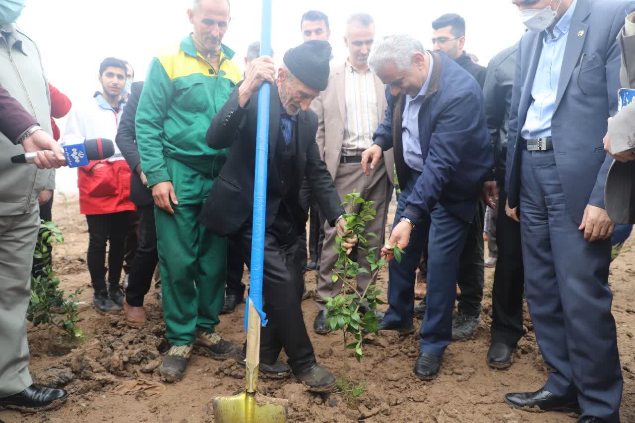 بازگشت سراوان به دامان طبیعت