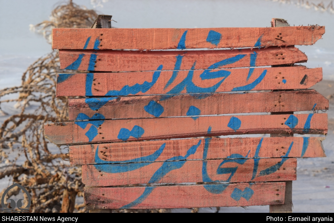 ببینید| نوجوانان مسجدی؛ خادمان شهدا