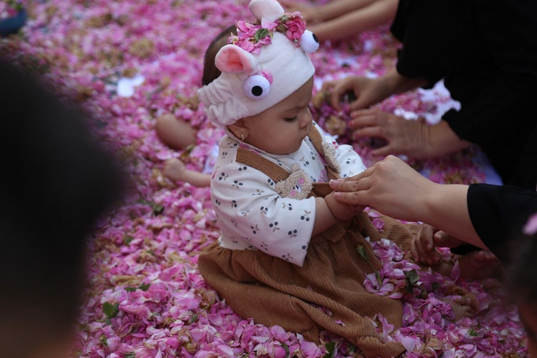  آیین ملی گل‌غلتان در خانه تاریخی آل یاسین کاشان برگزار می‌شود 