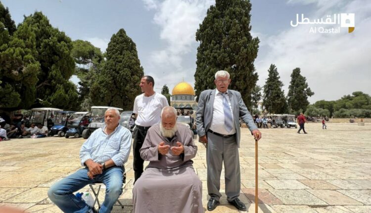 بازداشت دو جوان فلسطینی در مسجدالاقصی / اقامه نماز ۵۰ جمعه هزار فلسطینی در مسجدالاقصی