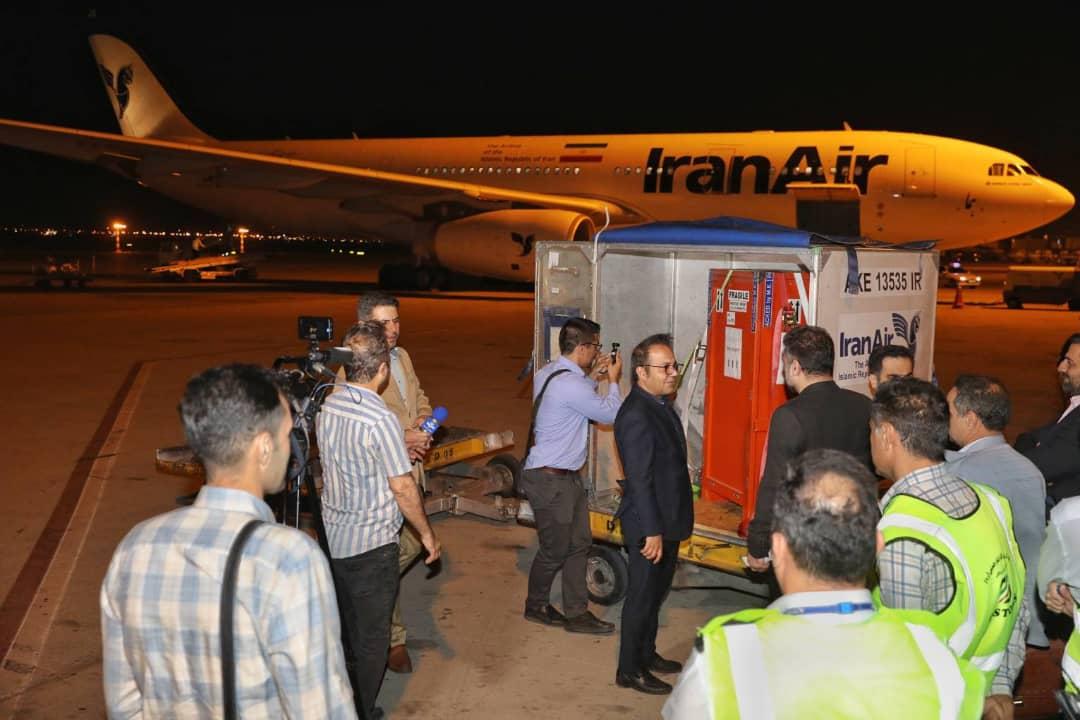 سنگ‌نگاره ساسانی بامداد امروز چهارشنبه به ایران بازگشت