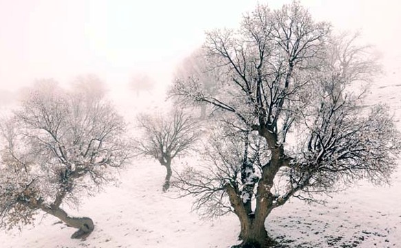 بارش برف مدارس نوبت صبح 6 منطقه شهرستان‌های تهران را تعطیل کرد