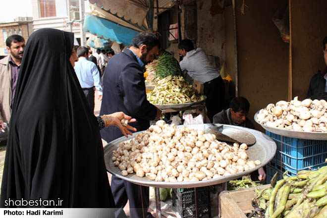 طرح برخورد با گرانفروشی و کم فروشی در کردستان اجرا می شود