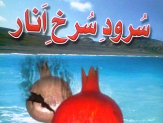 توسل به امام زمان با رویکردی داستانی در "سرود سرخ انار"