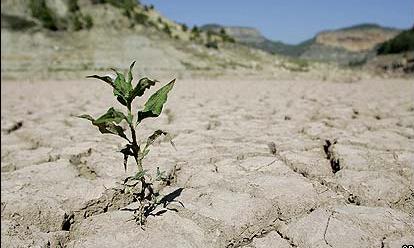 پدیده خشکسالی، زنگ خطرباغات لرستان