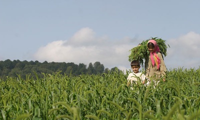 مجلس طرح اصلاح قانون استخدام مهندسین ناظر تولیدات کشاورزی را تصویب کرد